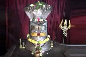 Sri Meenakshi Agasteswara Swamy TempleTimings