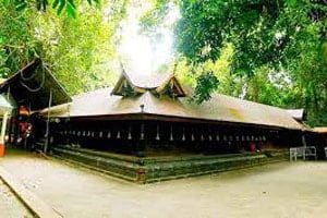 mannarasala nagaraja temple timings