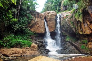 Mettupalayam laws waterfalls