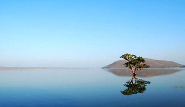pakhal lake and wildlife sanctuary warangal
