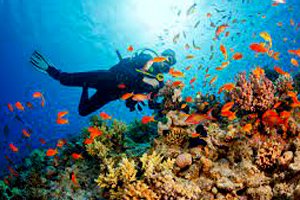 A Detailed Guide for Scuba Diving in Grand Island
