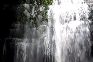 Bheemuni Paadam Waterfalls | Timings & Best time to visit
