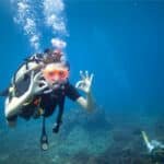 Scuba Diving in Malvan Timings