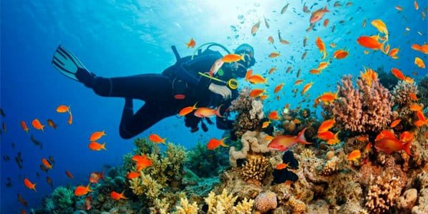 Scuba Diving in Malvan 