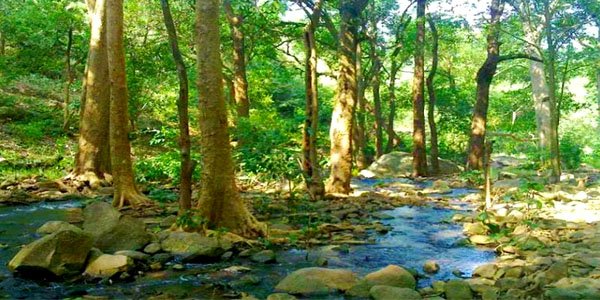 Waterfalls to Visit in Telangana Mallela Theertham