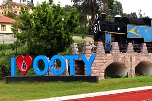 ooty e pass apply online